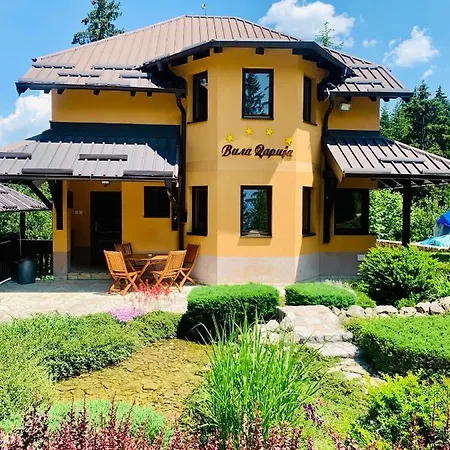 Darija Zlatar - Br. 2 *