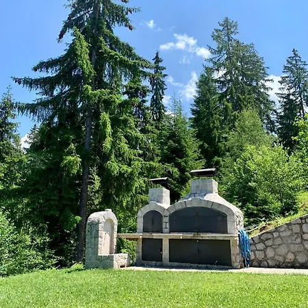 Darija Zlatar - Br. 2