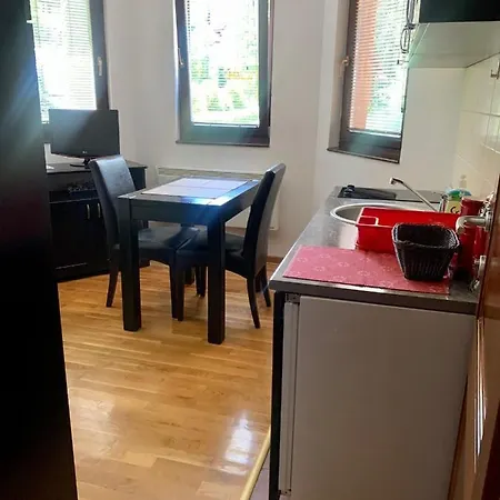 Darija Zlatar - Br. 2